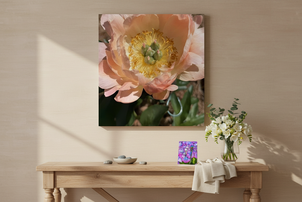 Coral Peony Hero Shot
